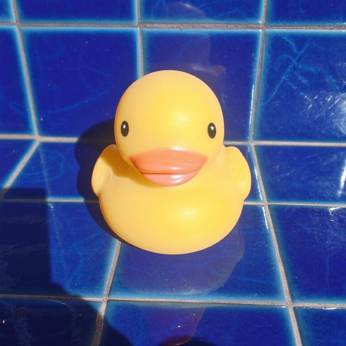 A classic yellow rubber duck on a colored tile.